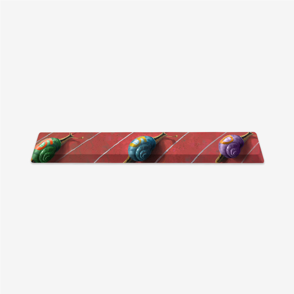 Snail Race Spacebar Keycap